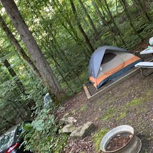 Our friends camped below us on the lower site. Their tent site was 20 ft deeper than ours, so they weren't all stacked on top of each other!