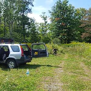 Nice parking and short walk into the woods to the trailer
