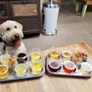 Dog friendly!