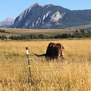 Glamping at Round Mountain