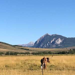 Glamping at Round Mountain