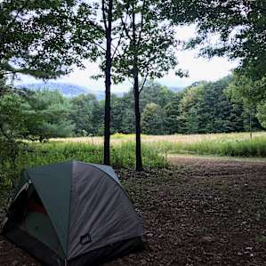 Woodland Dwelyng at Steady Slope
