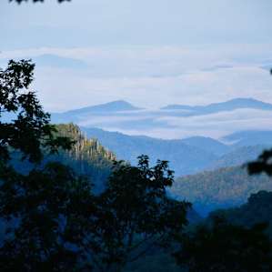 The Eagle's Nest