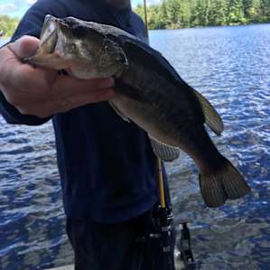 Sterling Pond