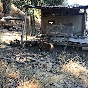 Camp at the goat farm