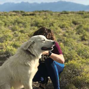 There is a friendly camp dog named Dex