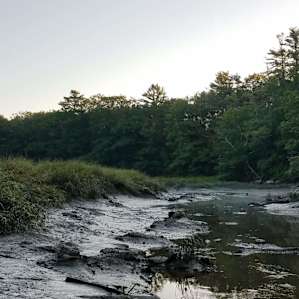Montsweag Brook Acreage