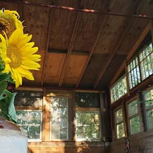 Sunrise Shelter
