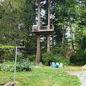 Another tree house!