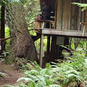 Our magical cabin!