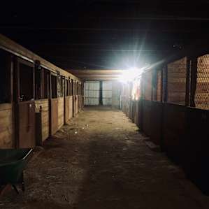 Authentic Barn B&B Stall #1