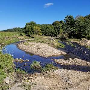 100 Acre Organic Farm