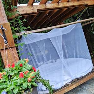 The netting works! No bugs!