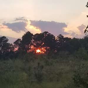 Big Pine Peninsula