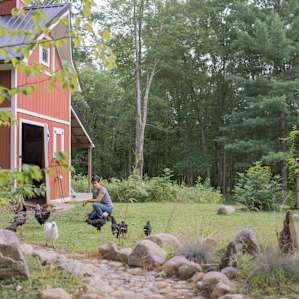 We loved hanging out with the chickens