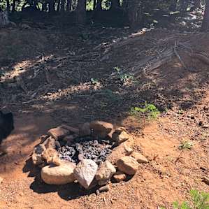 Practice fire safety! You need a permit (quick online quiz that's free). Make sure to clear dead wood, have a mini fire extinguisher on hand, and water to put all your embers out.