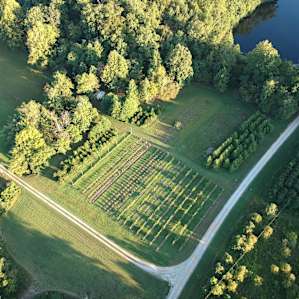Mountain Shadow Lake and Farm