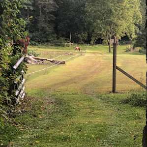 Our Lil' Ranch