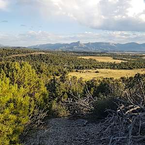 View of Mesa Verde from the hill