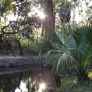 River Goddess Chalet Lithia Florida