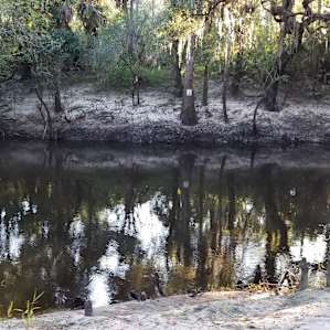 River Goddess Chalet Lithia Florida