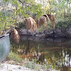 River Goddess Chalet Lithia Florida