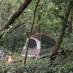 So many campsites to choose from, all of them nicely nestled into the woods for privacy