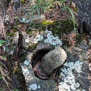 OMS Camp, Site 2