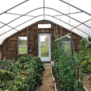 Agricultural bliss