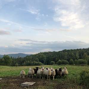 Agricultural bliss