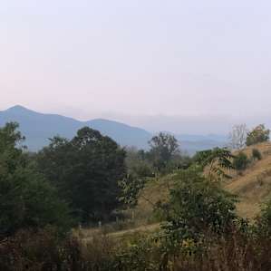 Morning view from the pond area