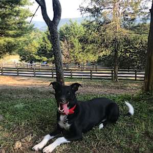 View from picnic table
