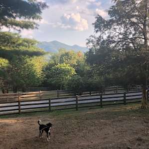 Beautiful Views of the Blue Ridge