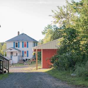 Lily Springs Farm