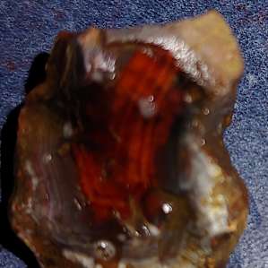 Beautiful carnelian