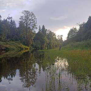Chehalis River....short walk from the cabin!