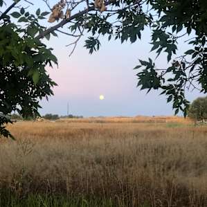 Full moon over the farm field