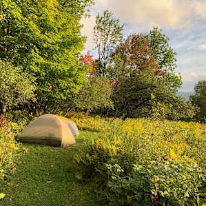 The enchanting walk down to the shed and compost toilet