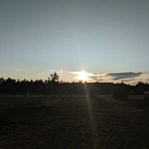 Wood cabins or tent sites.