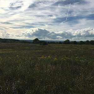 Secluded Hilltop Meadow on Farm
