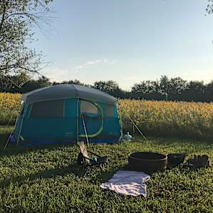 6 person tent set in a mowed out circle in a field of flowers