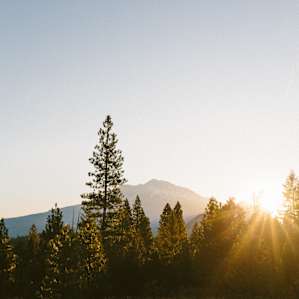 Sunrise view of Mount Shasta from the meadow.