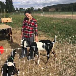Flora and Willow were the best goats! I could have stayed in there all day