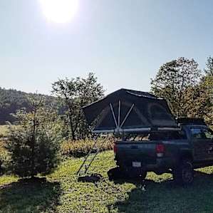 Tent camping on a woodland farm