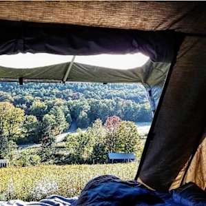 Tent camping on a woodland farm