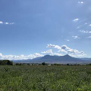 Hollow Horn Farm