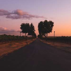 The sunsets are so beautiful here.