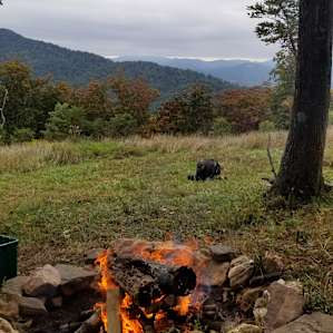 View of the Blue Ridge from the firepit. (Lulu, et al photobomb)