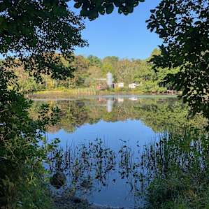 Queen's River - Historic Grist Mill