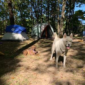 Boulder Point Tent Camp with Baths!